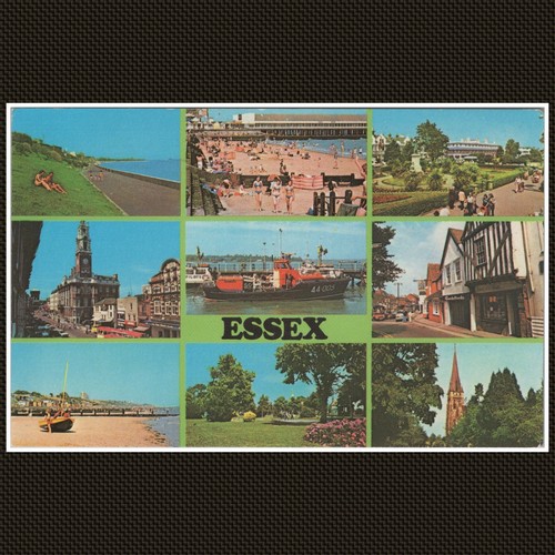 Essex multi view - essex, multi-view