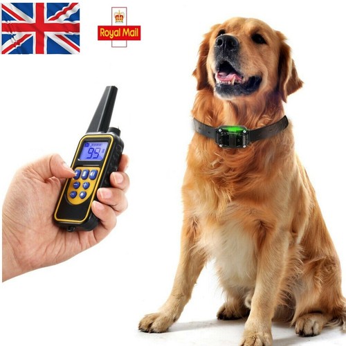 Electric training collar - training, for