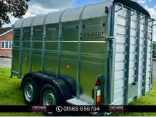 NUGENT Livestock Cattle