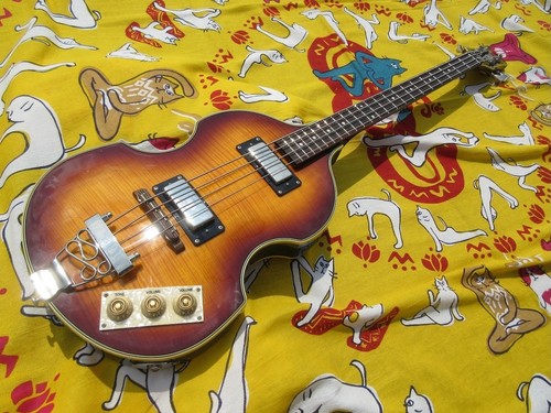 Epiphone viola bass soft - bass, w/soft