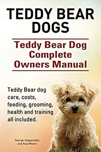 Teddy bear dogs - teddy, dogs.