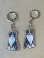 Australian Shepherd Dog Breed