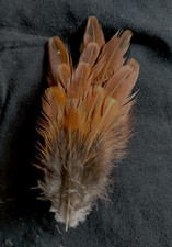 Fly tying / Native crafts / art - Ringneck Pheasant undertail covert feathers