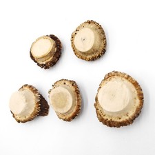 Roses 5 Pieces Rose Deer Red