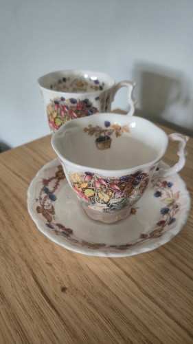 Royal doulton brambly hedge - doulton,