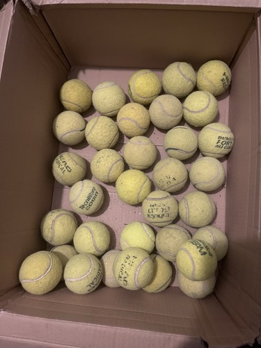 Used tennis balls - tennis,