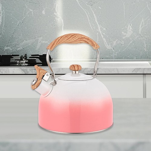 Whistling stovetop tea kettle - stovetop,
