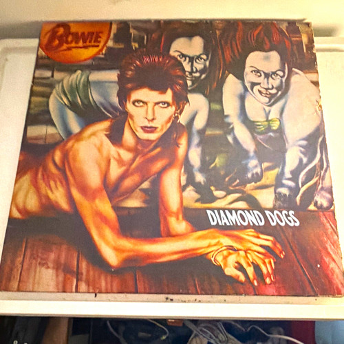 Bowie david - david, dogs