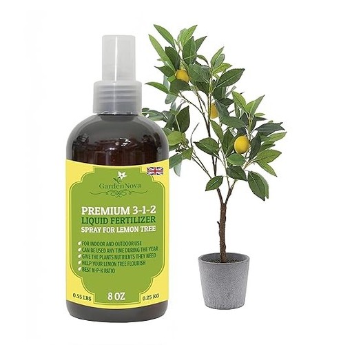 Gardennova lemon tree - lemon,