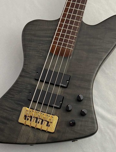 Spector forte5x used - spector, bass