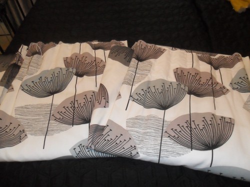 Pair sanderson dandelion - pair,