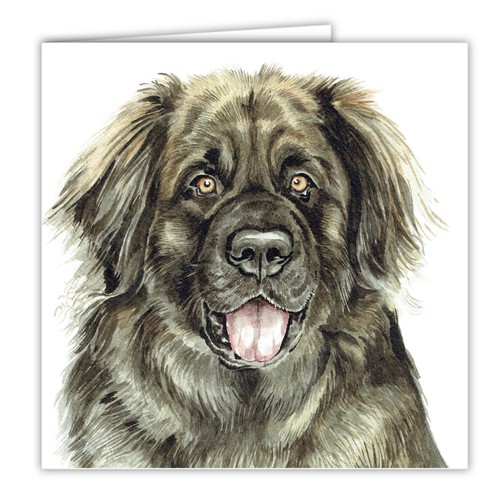 Leonberger greetings card dog