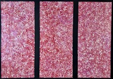 Bessie Pitjara. Highly Collectable Aboriginal Art.  Incl COA, and photo's