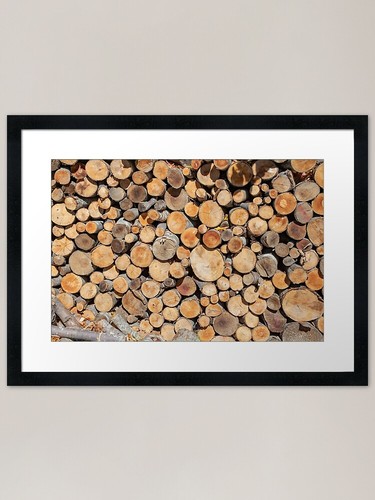 Sawn tree trunks - , different