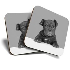2 x Coasters (BW) - Cute Old English Bulldog Puppy Dog  #42763