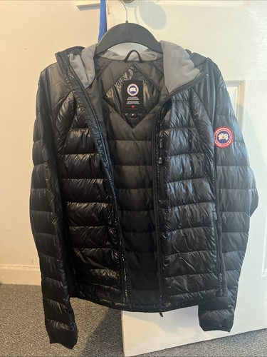 Black canada goose hybridge - black,