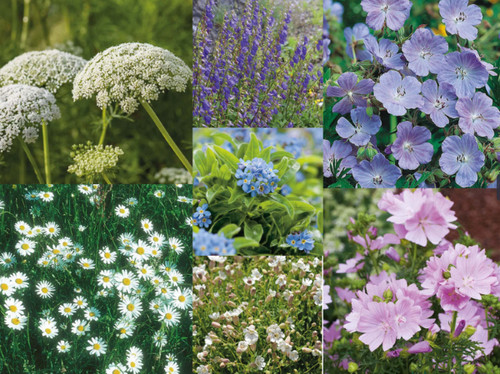 Fothergills nature helpers - fothergills, nature's