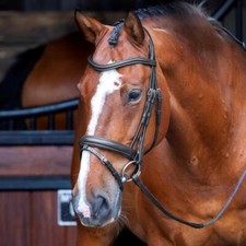 Shires Velociti RAPIDA