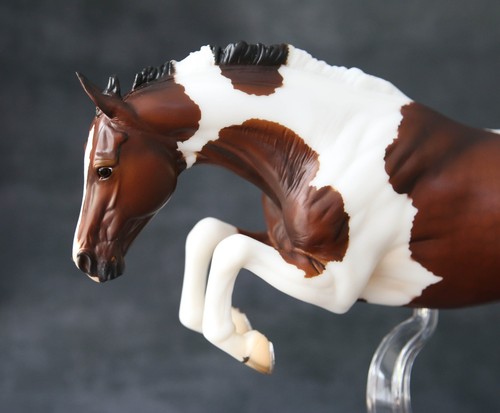 Breyerfest 2025 matte - breyerfest, sr