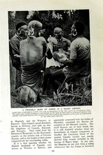 Old Vintage Print C1920