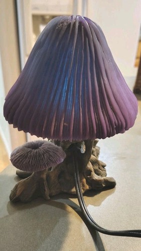 Magic mushroom lamp - magic,