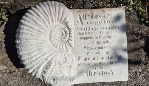 Ammonite fossil stone statue - stone,