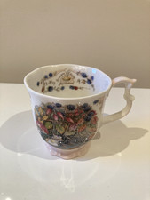 Royal Doulton Brambly Hedge