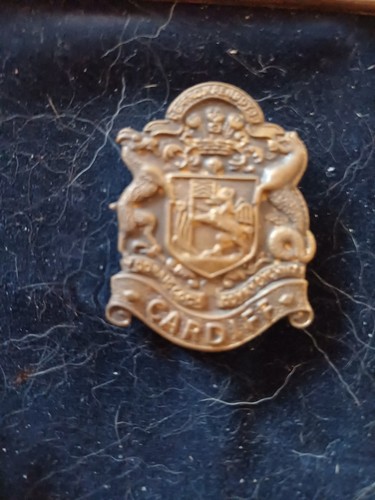 Set miltary cap badges - set, x6