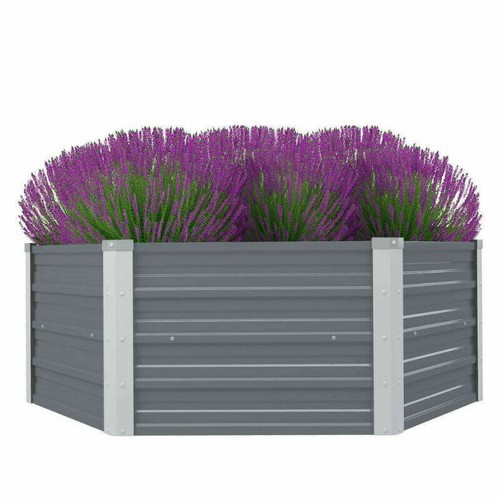 Raised bed garden outdoor - bed,