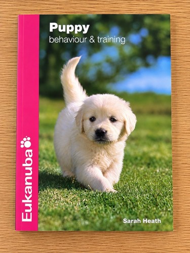 Puppy behaviour training - &,