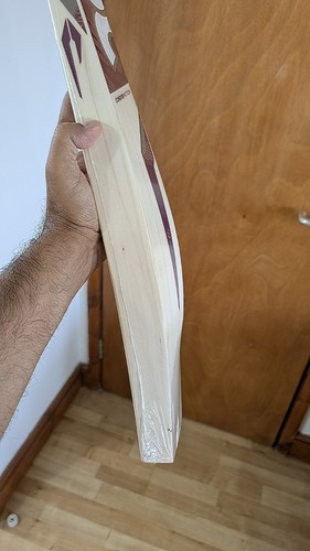 Beast dsc condor cricket - condor, bat