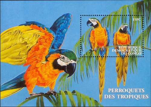 Congo 2000
