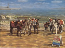 Donkey Beach Seaside blank