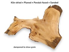 Raw Linden Tree Root Slab Live