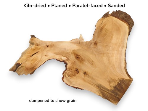 Raw linden tree root slab - tree,