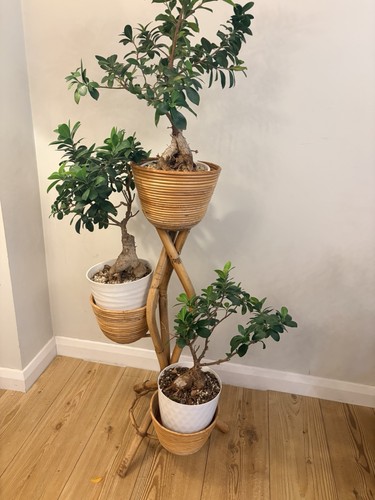 Vintage bamboo rattan 3 - rattan, 3-tier