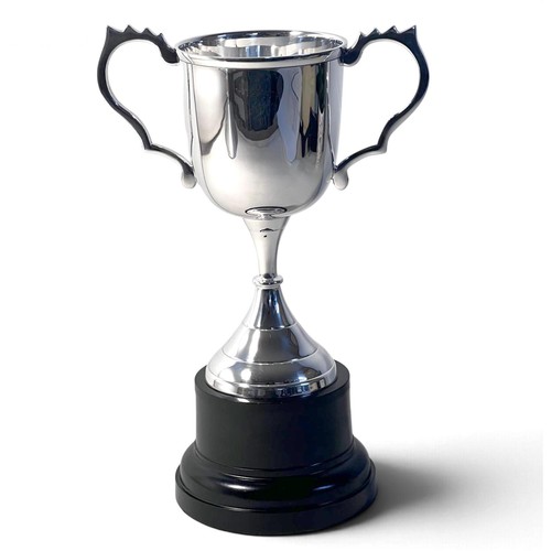 Silver trophy cup 30cm award - silver,
