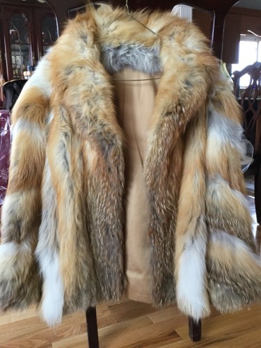 Vintage red fox - ,