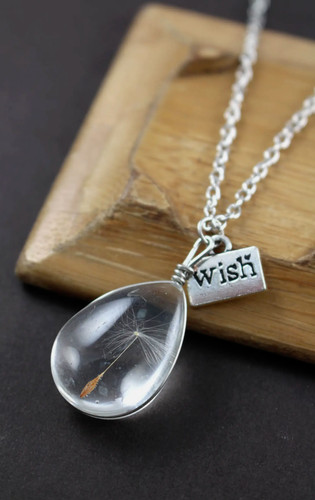 Natural dandelion seed wish - dandelion,