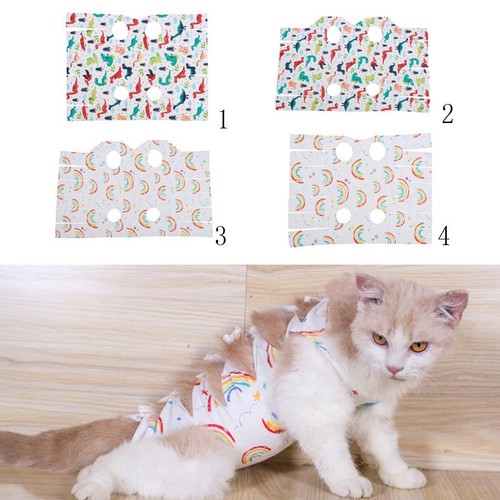 Cat suit kitten protective - cat,