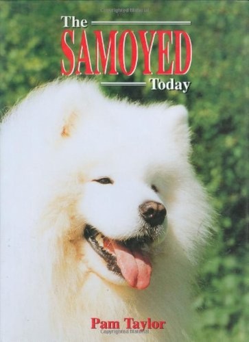 The samoyed today pam - pam, taylor