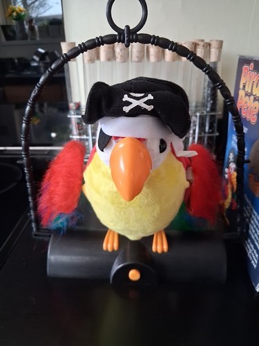 Pirate pete the - pete, parrot