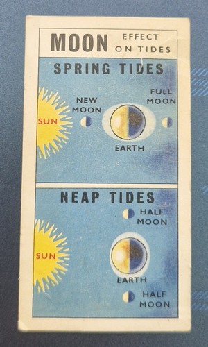 1958 brooke bond tea card - 1958,