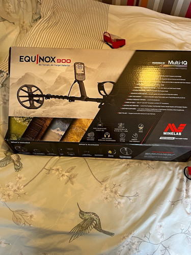 Minelab equinox 900 ground - minelab,