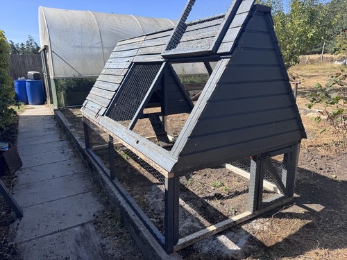 Chicken coop run hen - hen, house