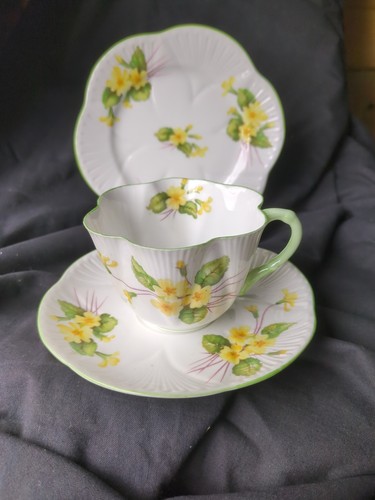 Shelley primrose floral design - shelley,
