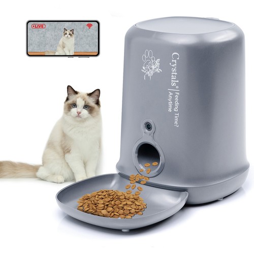 Cat feeder automatic - cat,