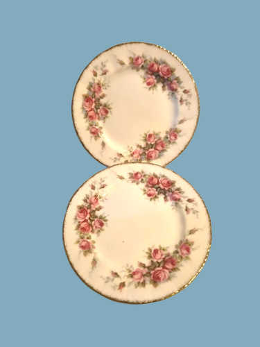 Vintage paragon bone - paragon, china