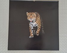 Rare Vintage dealership Jaguar 1994 Classic Car Calendar 21x21" Deadstock