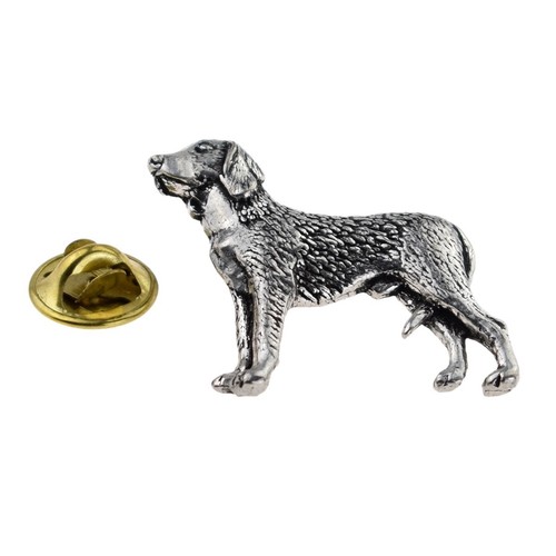 German wire haired - wire, pointer